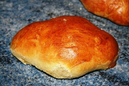 Coquille du Nord