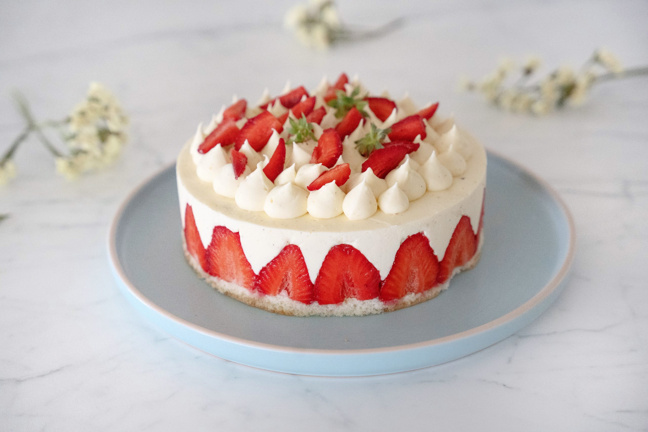 Fraisier
