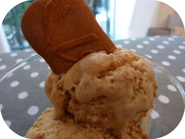 GLACE AU SPECULOOS ET MIEL
